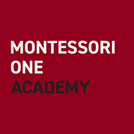 Montessori One Academy