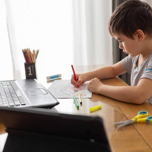 Lower elementary student with a computer