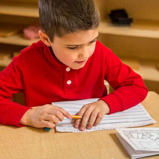 Primary preschool student